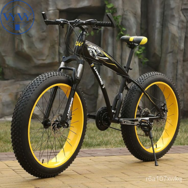 xe đạp 2